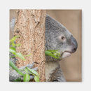 Suche nach beutelartig magnete Wild lebende tiere