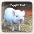 Suche nach ferkel untersetzer Schwein