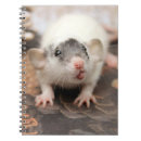 Suche nach ratte kleine notizbücher Haustiere