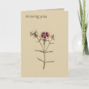 Suche nach dianthus karten Botanisch