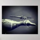 Suche nach drachenfliegen poster Niedlich