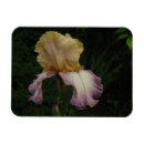 Suche nach iris blume magnete Für sie