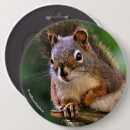 Suche nach tanne buttons Baum