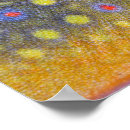 Suche nach trout poster Bach