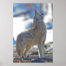 Suche nach wyoming poster Winter