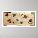 Suche nach insects poster Insekten