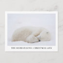 Suche nach wintertiere postkarten Arktis