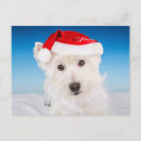 Suche nach weihnachtstiere postkarten Ferien