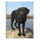 Suche nach labor kleine notizbücher Niedlich