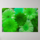 Suche nach gerbera blume poster Griechen