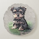 Suche nach yorkie kissen Haustier