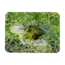 Suche nach teich magnete Wasser