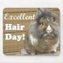 Suche nach lustiges kaninchen mousepads Sonnig