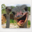 Suche nach strauß mousepads Zootiere