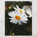 Suche nach botanischer garten flyer Blumenreich