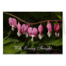 Suche nach liebevolle gedanken Blume