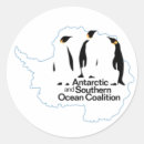 Suche nach antarktischer pinguin aufkleber Pinguine