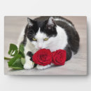 Suche nach rote rosen fotoplatten Für alle