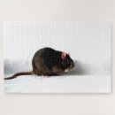 Suche nach ratte puzzle Weiß