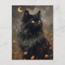 Suche nach black cat postkarten Chat noir