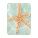 Suche nach meerwasser magnete Seestern