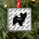 Suche nach papillon hund wohnen zuhause Jede person