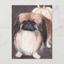 Suche nach pekingeser postkarten Kaninchen