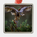 Suche nach fliegender vogel ornamente Vögel