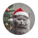 Suche nach lustige katze schneidebrettchen Kätzchen