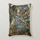 Suche nach reptilien kissen Amphibien