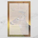 Suche nach odocoileus Nordamerika