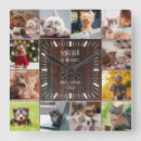 Suche nach haustier wanduhren Für haustiere