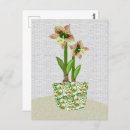 Suche nach amaryllis postkarten Briefmarke