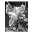 Suche nach fliesen poster Blumenreich