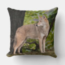 Suche nach coyote kissen Für alle