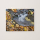 Suche nach ahornblatt puzzle Herbst