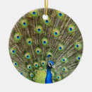 Suche nach schöner pfau ornamente Tier