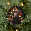 Suche nach reinrassige hunde ornamente Weihnachten