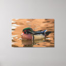 Suche nach jaynes galerie leinwandbilder Vogel