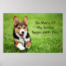 Suche nach corgi poster Welpe