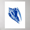 Suche nach weißer strand poster Seashell