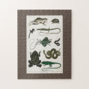 Suche nach reptilien puzzle Eidechse