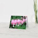 Suche nach dicentra Mit blumen