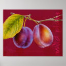 Suche nach pflaume poster Obst