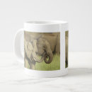 Suche nach indischer elefant tassen Fauna