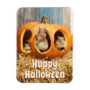 Suche nach jackolantern magnete Niedlich