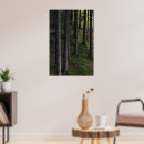 Suche nach moos poster Wald