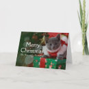 Suche nach vorderansicht karten Fotografie