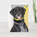 Suche nach schwarzes labrador karten Hundeliebhaber