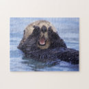 Suche nach seeotter Daisy gilardini